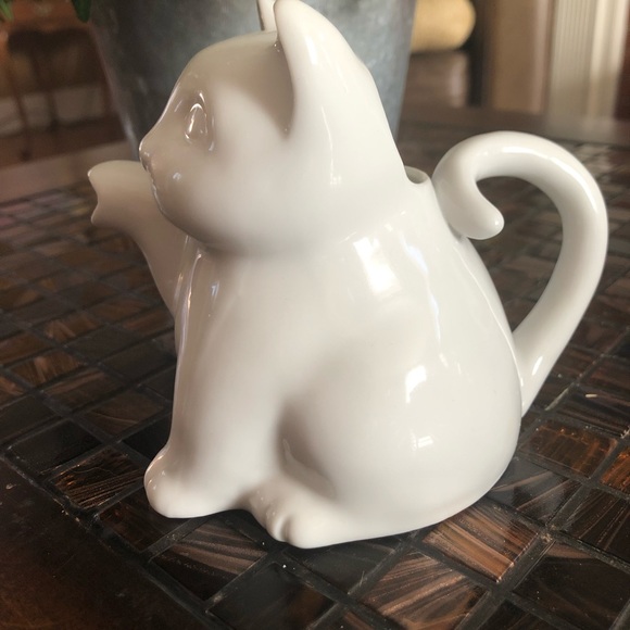 CAT Pitcher - Picture 2 of 7